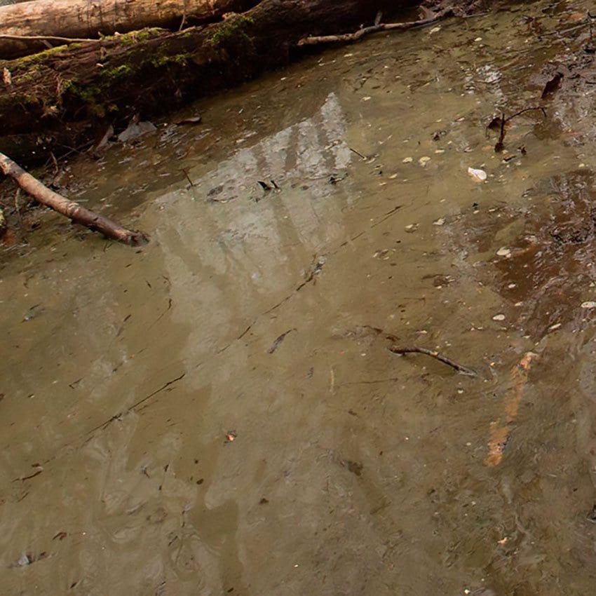 AK Interactive - Diorama Series - Water Gel Swamp Green [AK8006] (250ml) - Image 2