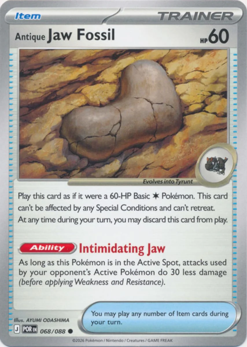 Antique Jaw Fossil - 068/088 - Common