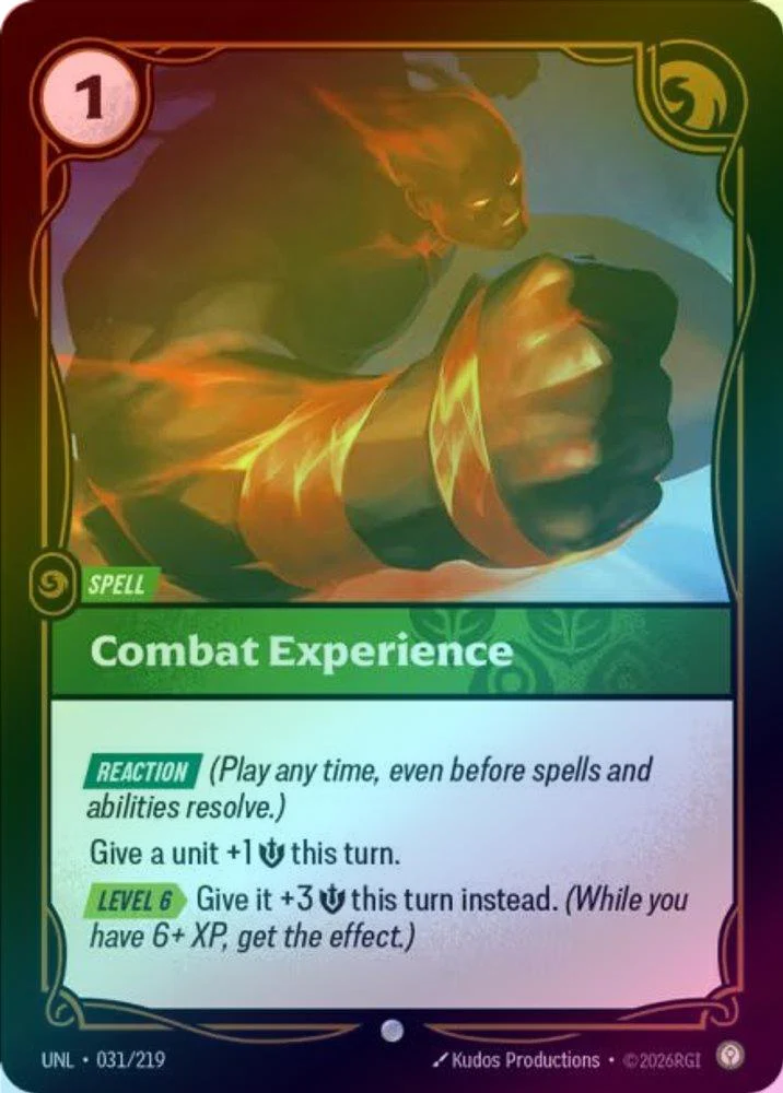 Combat Experience - 031/219 - Common (Foil)