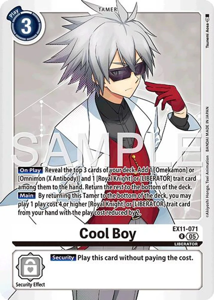 Cool Boy - EX11-071 - Rare