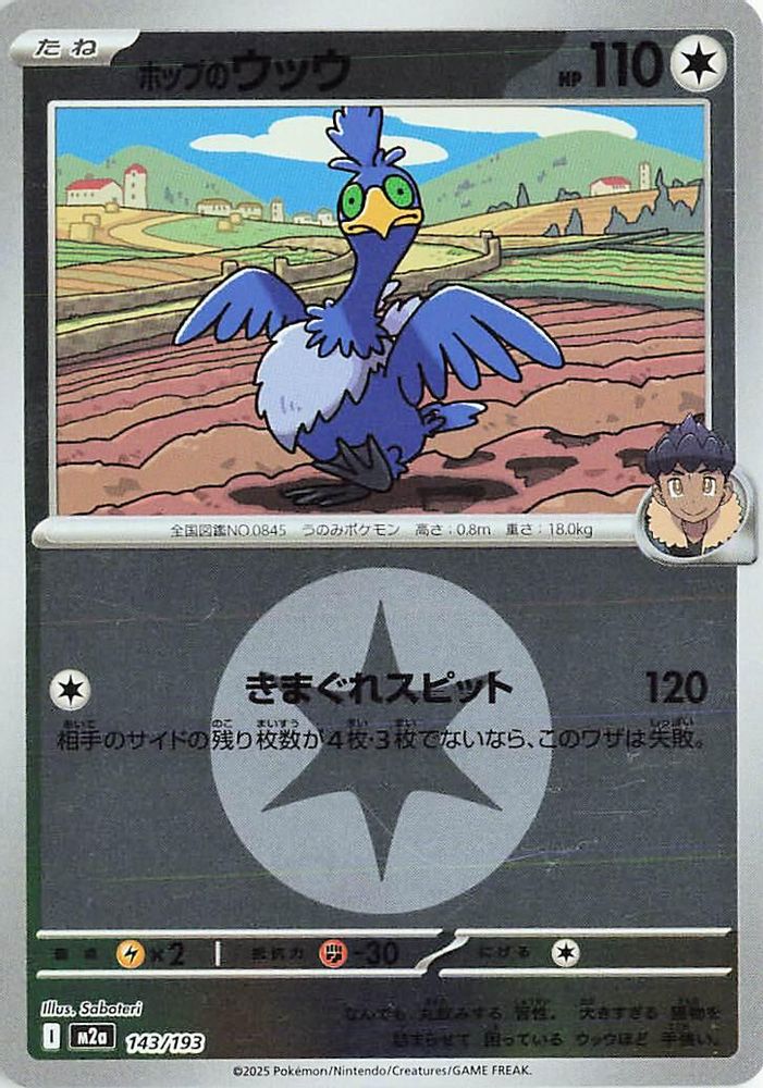 Hop's Cramorant (Energy Symbol Pattern) (Japanese) - 143/193 - None