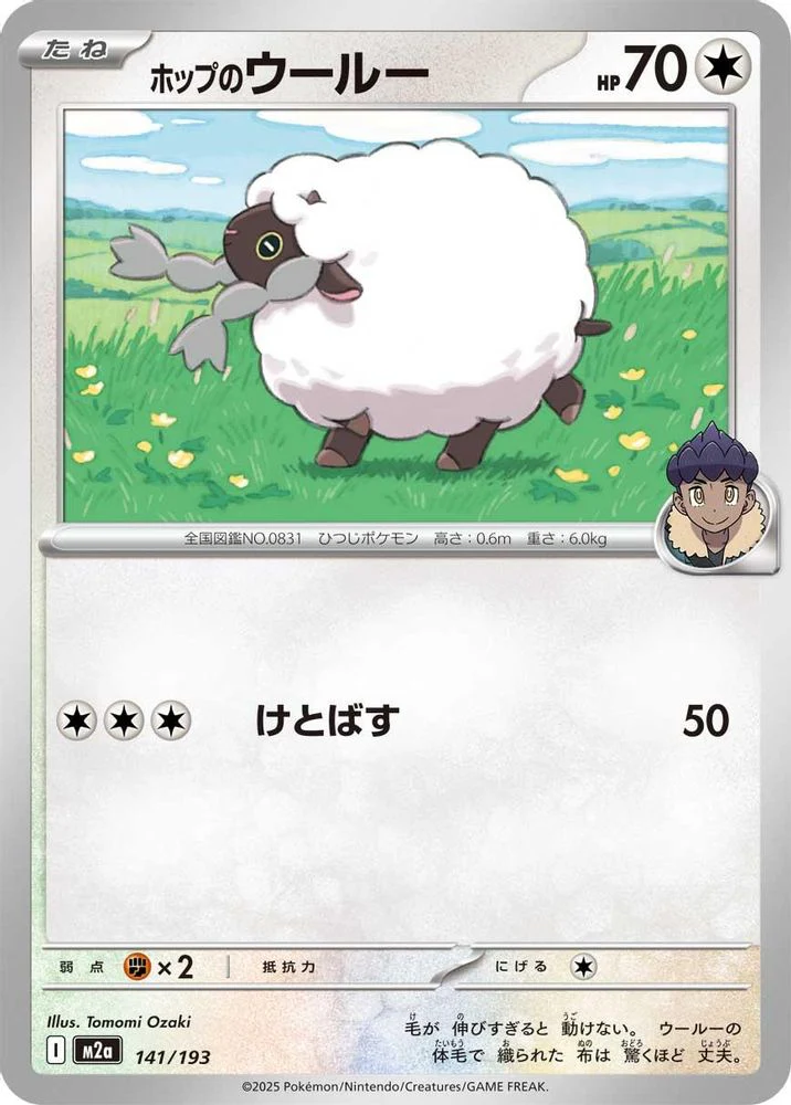 Hop's Wooloo (Japanese) - 141/193 - None