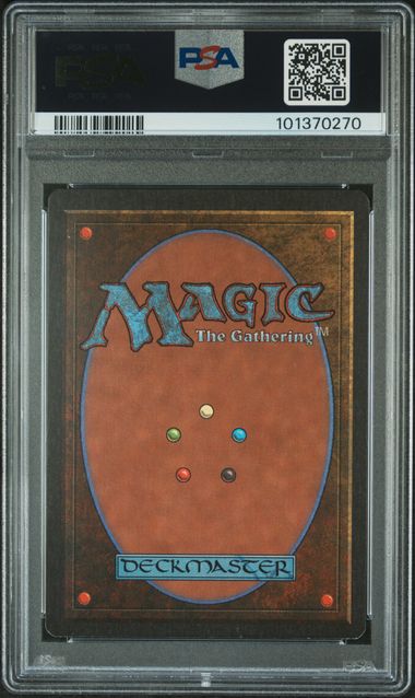 Island (A) - Summer Magic - PSA Graded 8 101370270 - Image 2