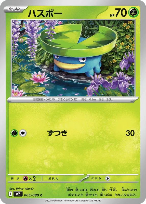 Lotad (Japanese) - 005/080 - Common