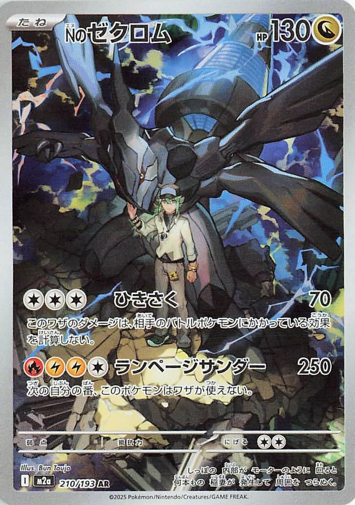 N's Zekrom (Japanese) - 210/193 - Art Rare