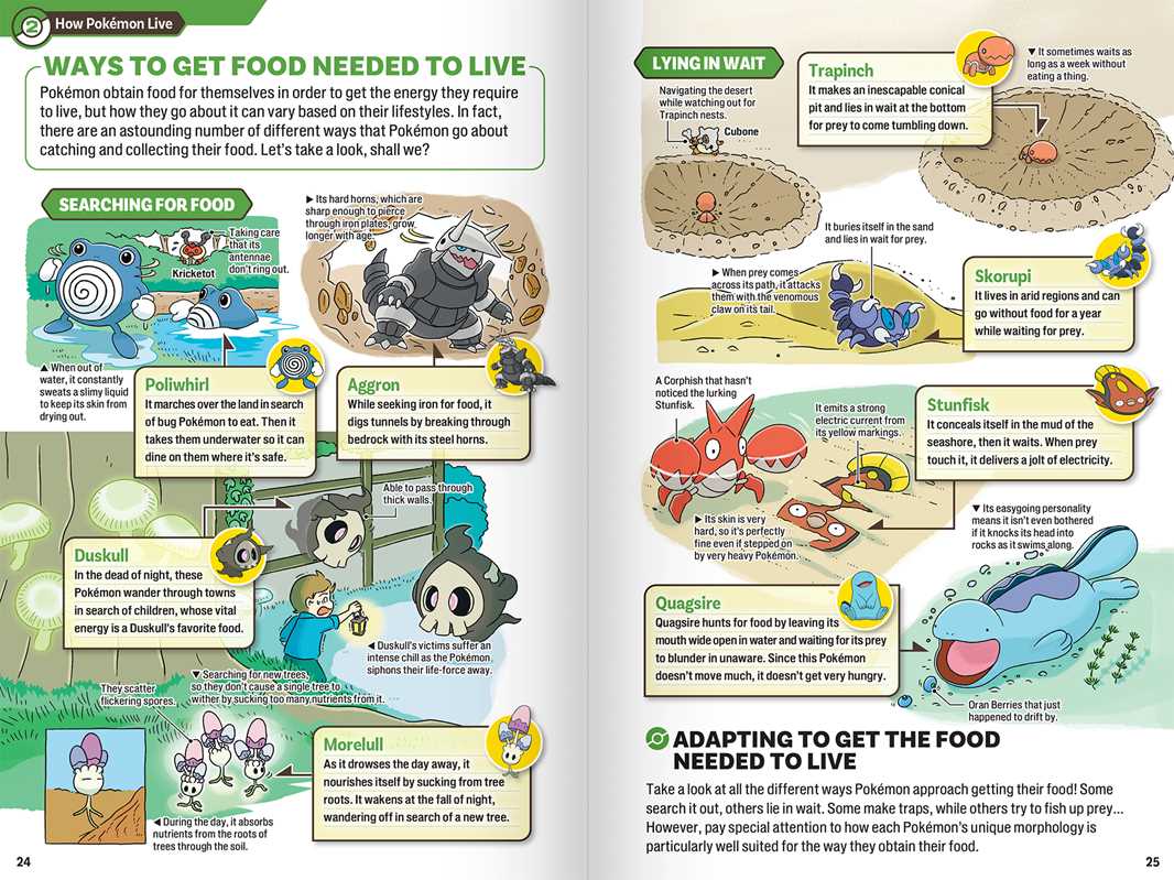 Pokecology: An Illustrated Guide to Pokemon Ecology (Pre-Order) - Image 4