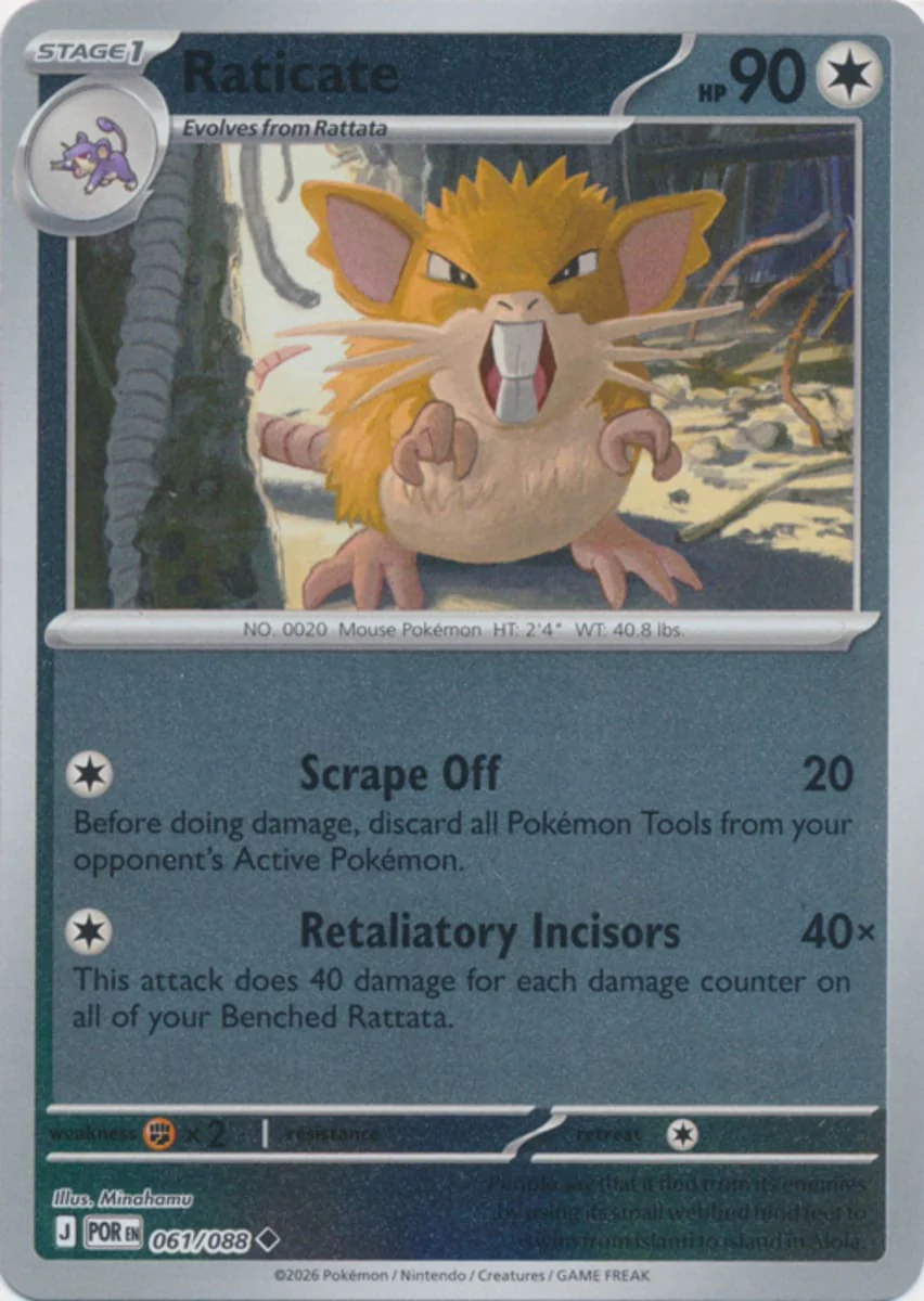 Raticate - 061/088 - Uncommon - Reverse Holo