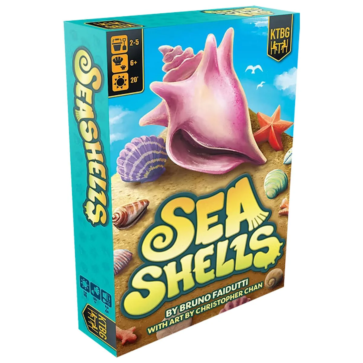 Seashells (Pre-Order)