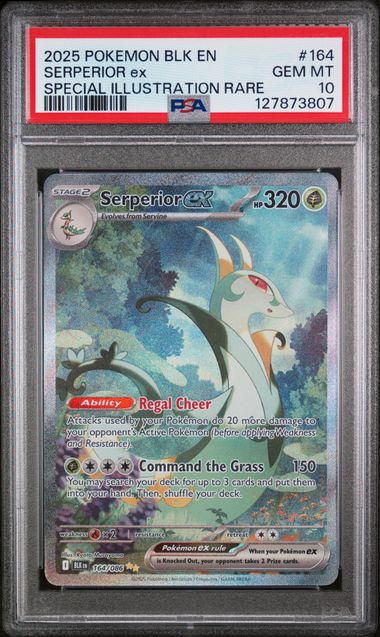 SERPERIOR EX (164) - POKEMON BLK EN-BLACK BOLT - SPECIAL ILLUSTRATION RARE - GEM MT 10