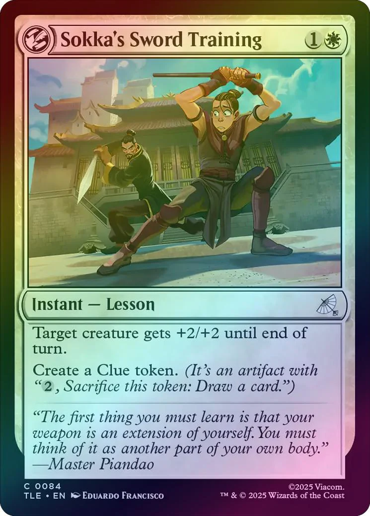 Sokka's Sword Training (Foil) (TLE)