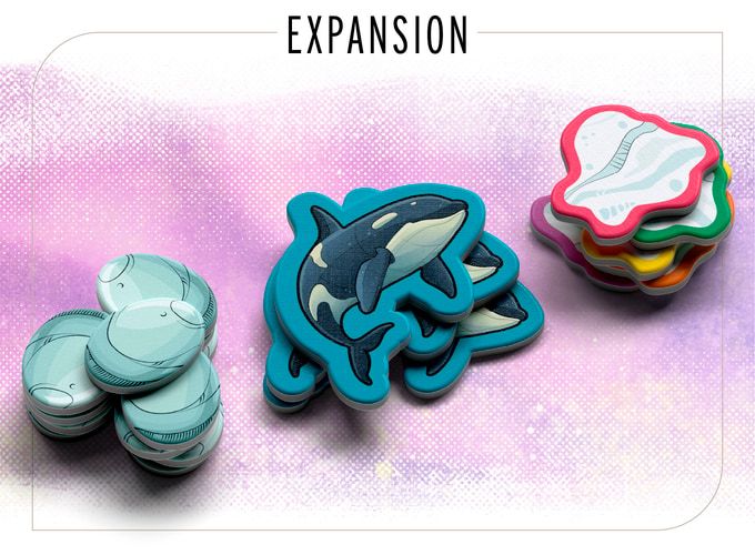 Waddle: Orcas & Ice Floes Expansion